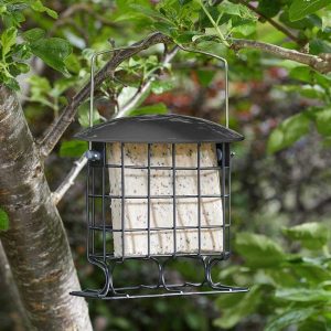 chapelwood mealworm and suet bird feeder