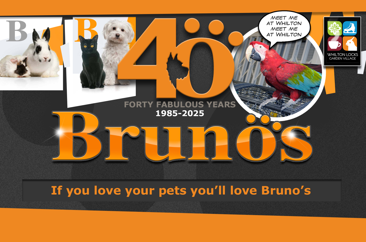 brunos 40th anniversary