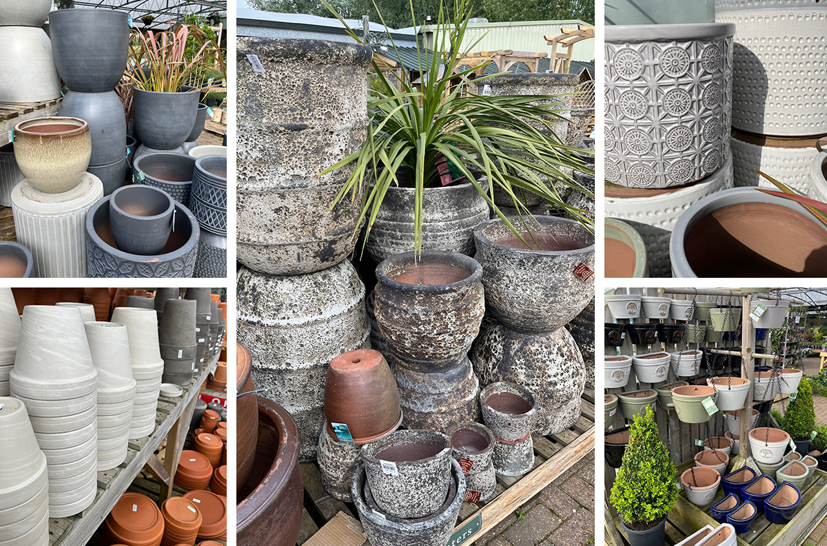 Container plants pots Garden Centre